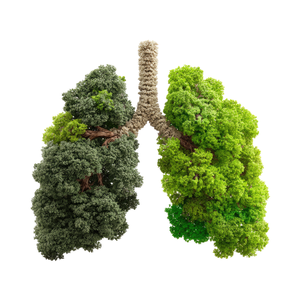 EDH - Tween Time: Ai